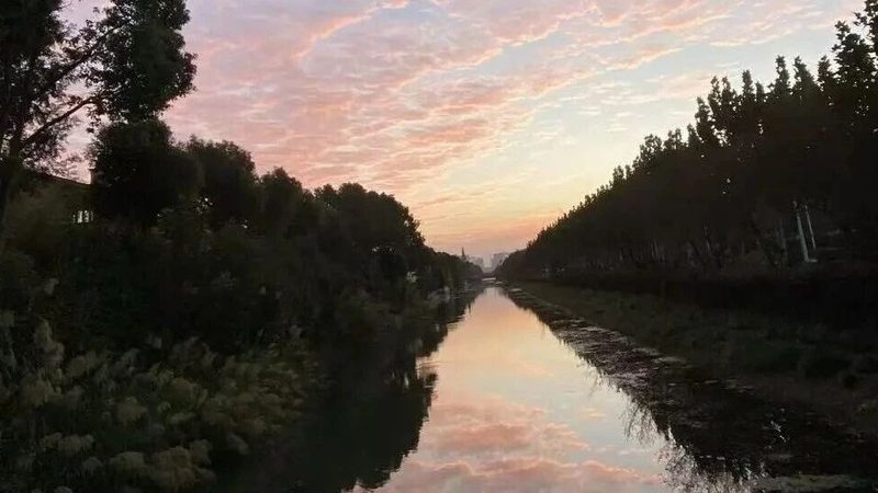 小规模公司注销，代理费用几何？揭秘费用构成与选择要点**